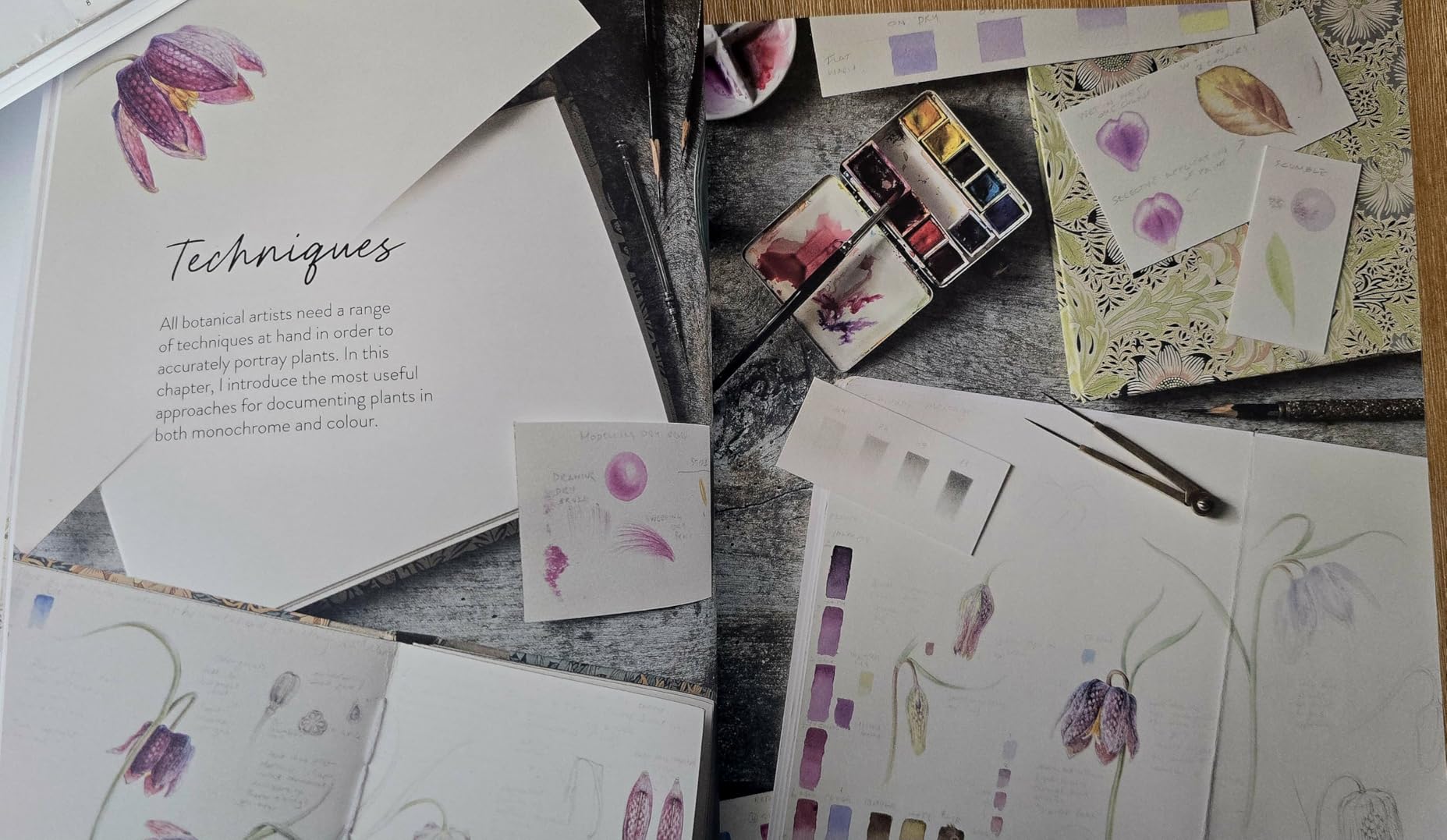Sketching Nature: The Beginner's Guide to Keeping a Botanical Sketchbook customer photo 2