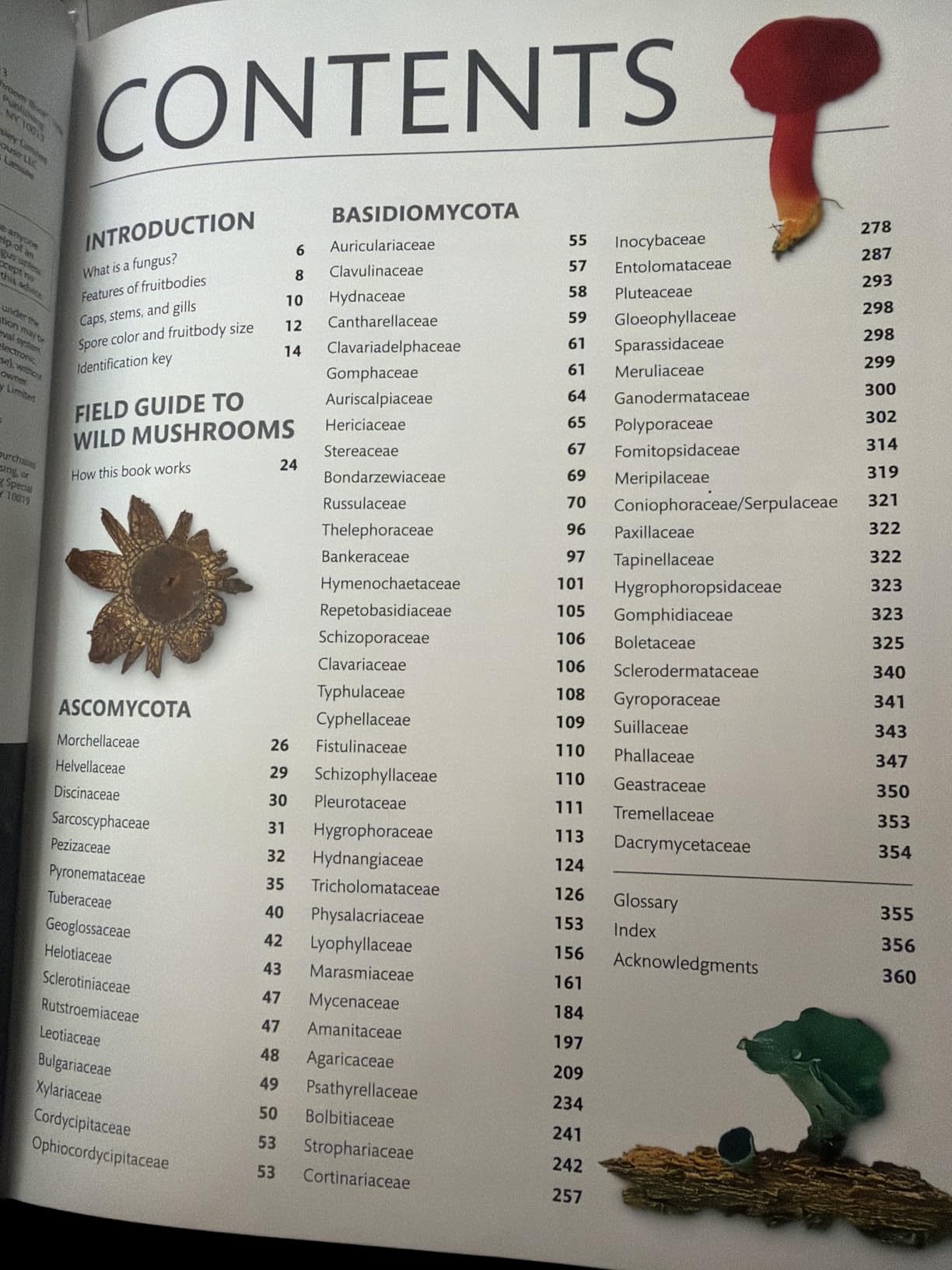 Mushrooms: How to Identify and Gather Wild Mushrooms and Other Fungi customer photo 2