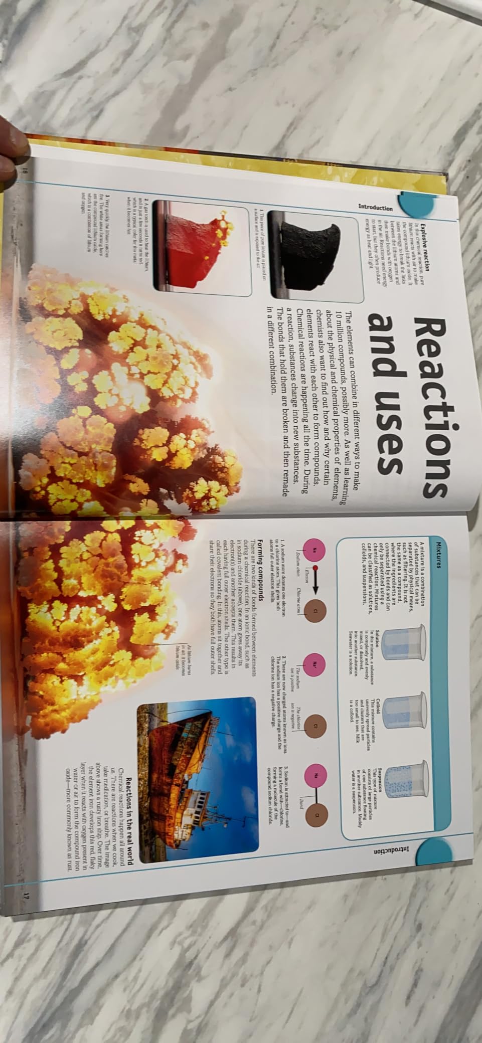 The Elements Book: A Visual Periodic Table Encyclopedia for Kids (DK Our World in Pictures) customer photo 1