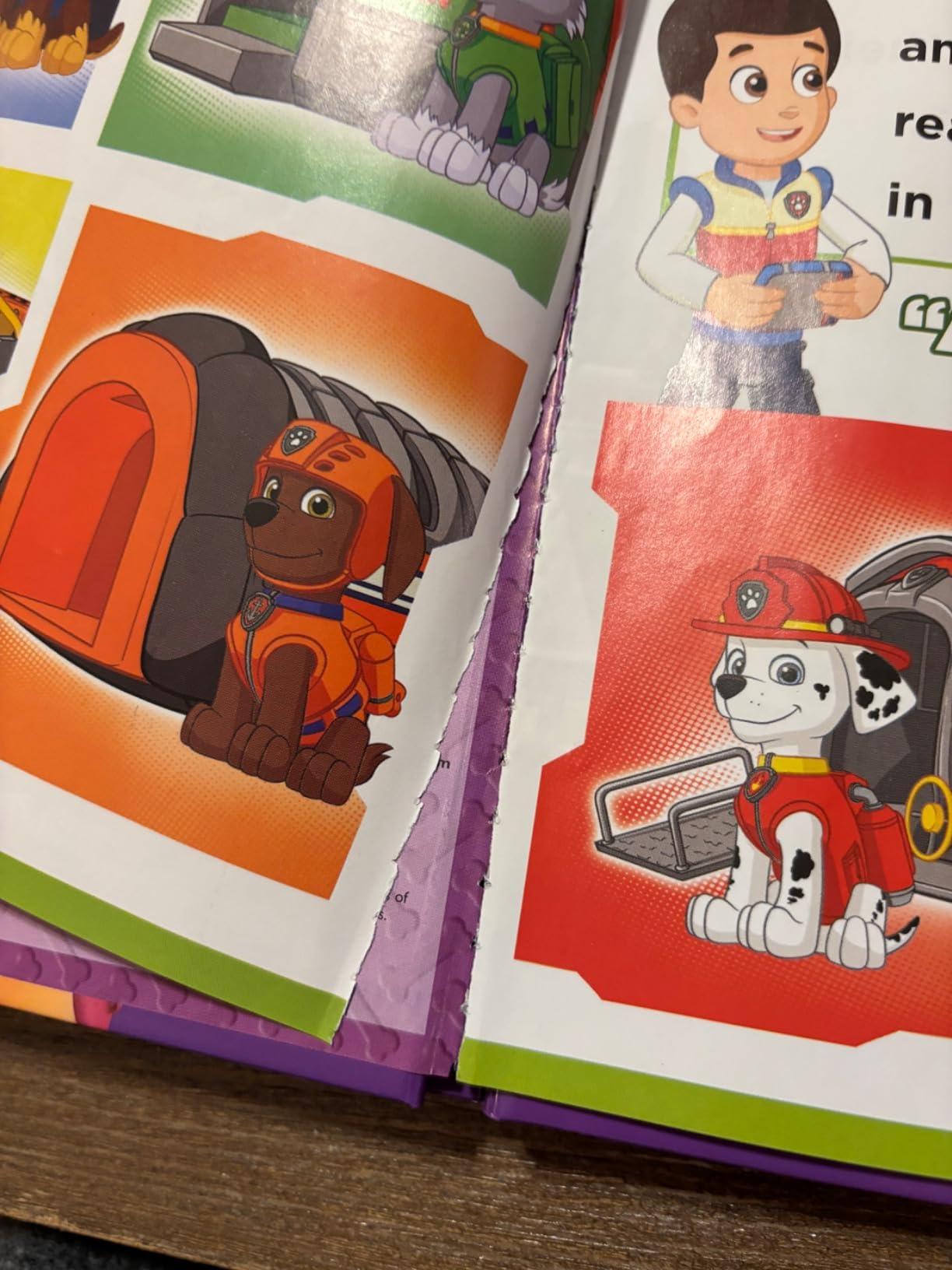 Nickelodeon Paw Patrol Chase, Skye, Marshall, and More! - Me Reader Electronic Reader and 8 Sound Book Library - PI Kids customer photo 2