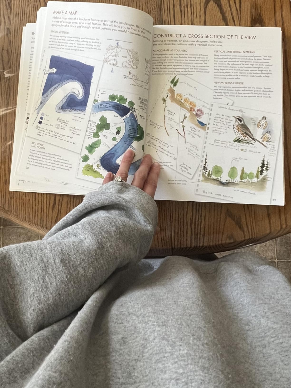 The Laws Guide to Nature Drawing and Journaling customer photo 2