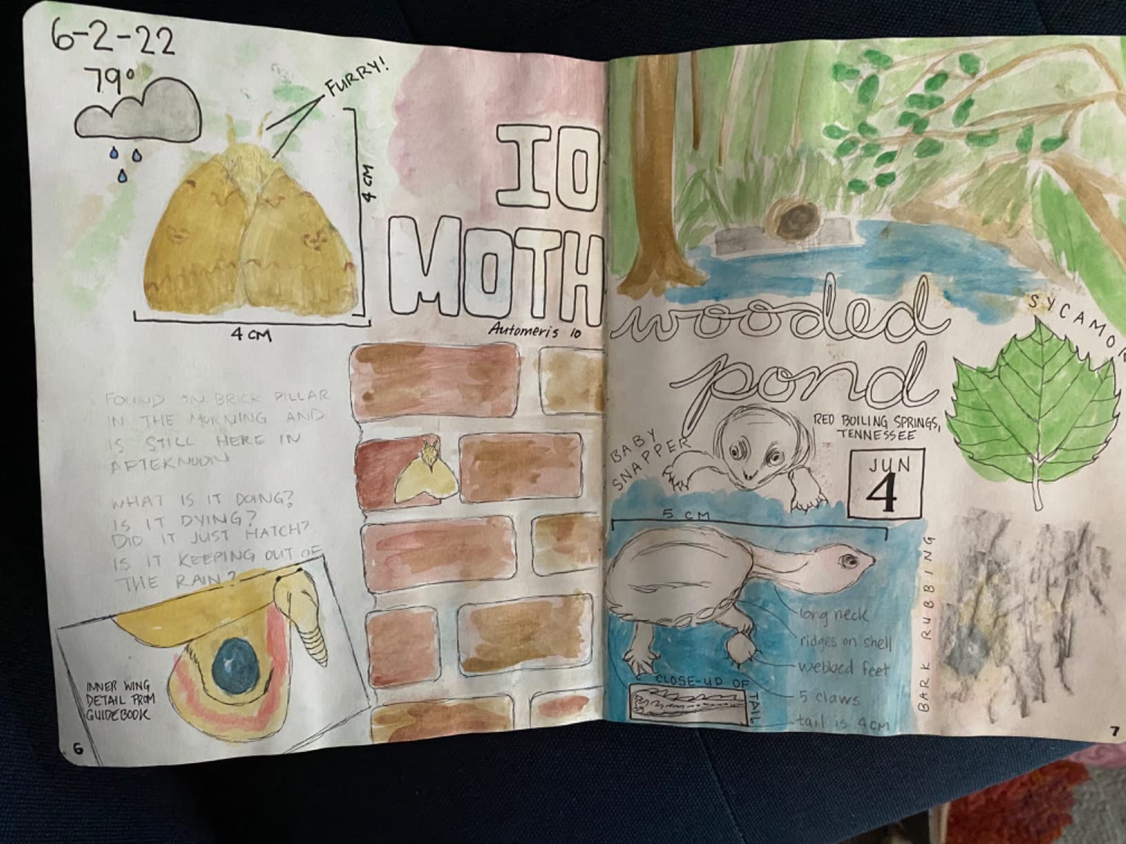 The Laws Sketchbook for Nature Journaling customer photo 2