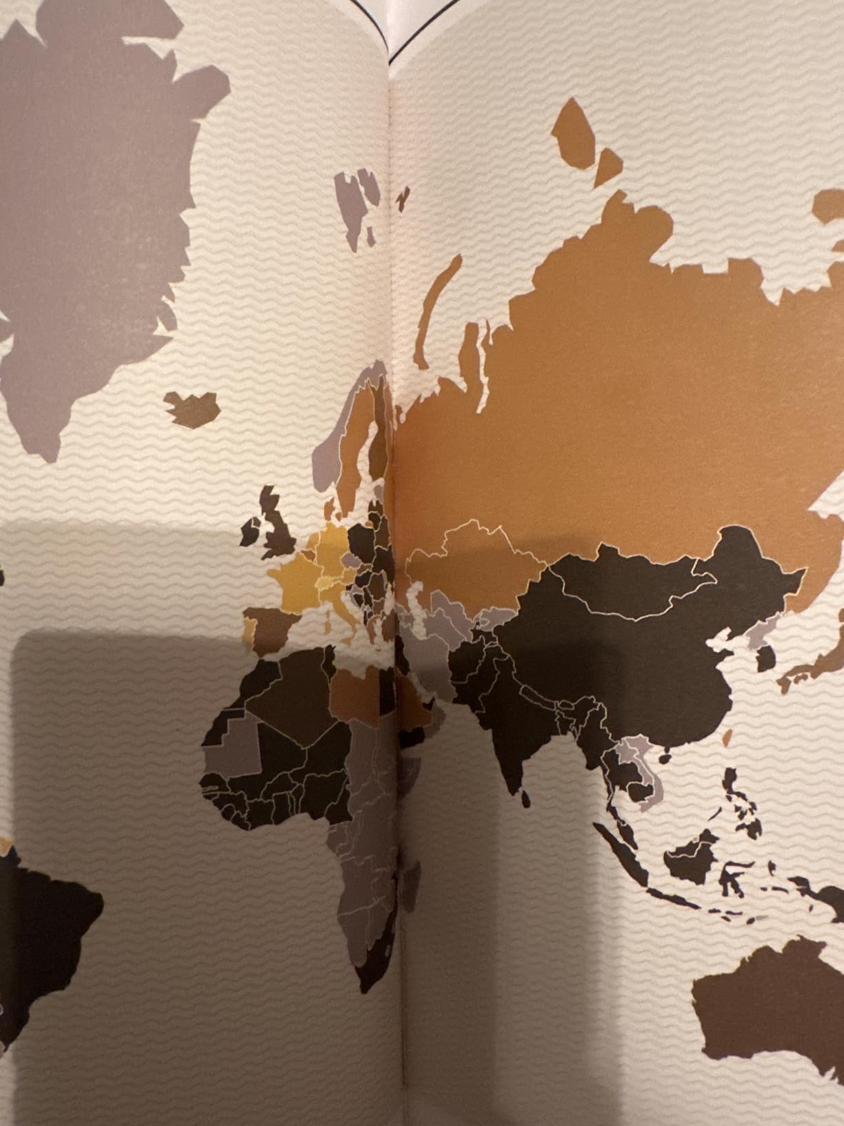 Brilliant Maps for Curious Minds: 100 New Ways to See the World customer photo 1
