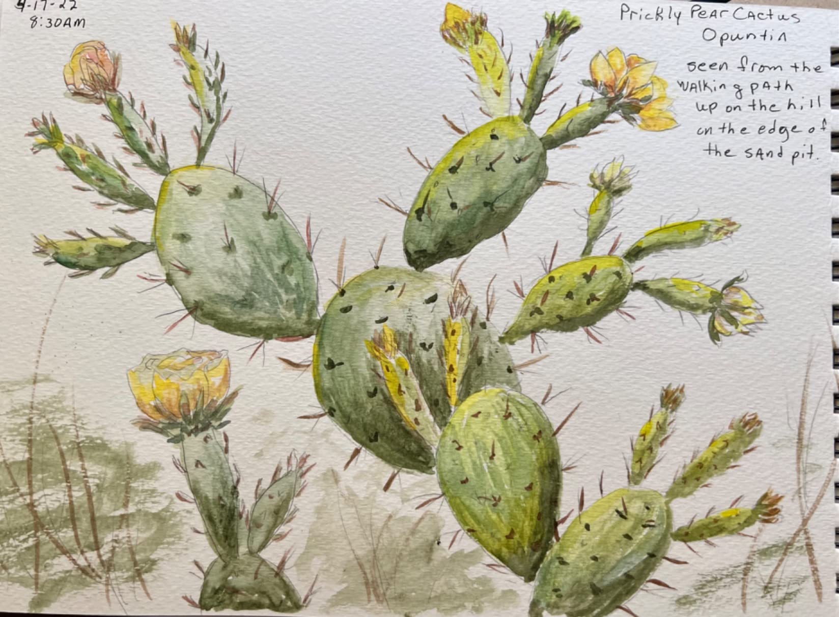 Keeping a Nature Journal, 3rd Edition: Deepen Your Connection with the Natural World All Around You customer photo 1