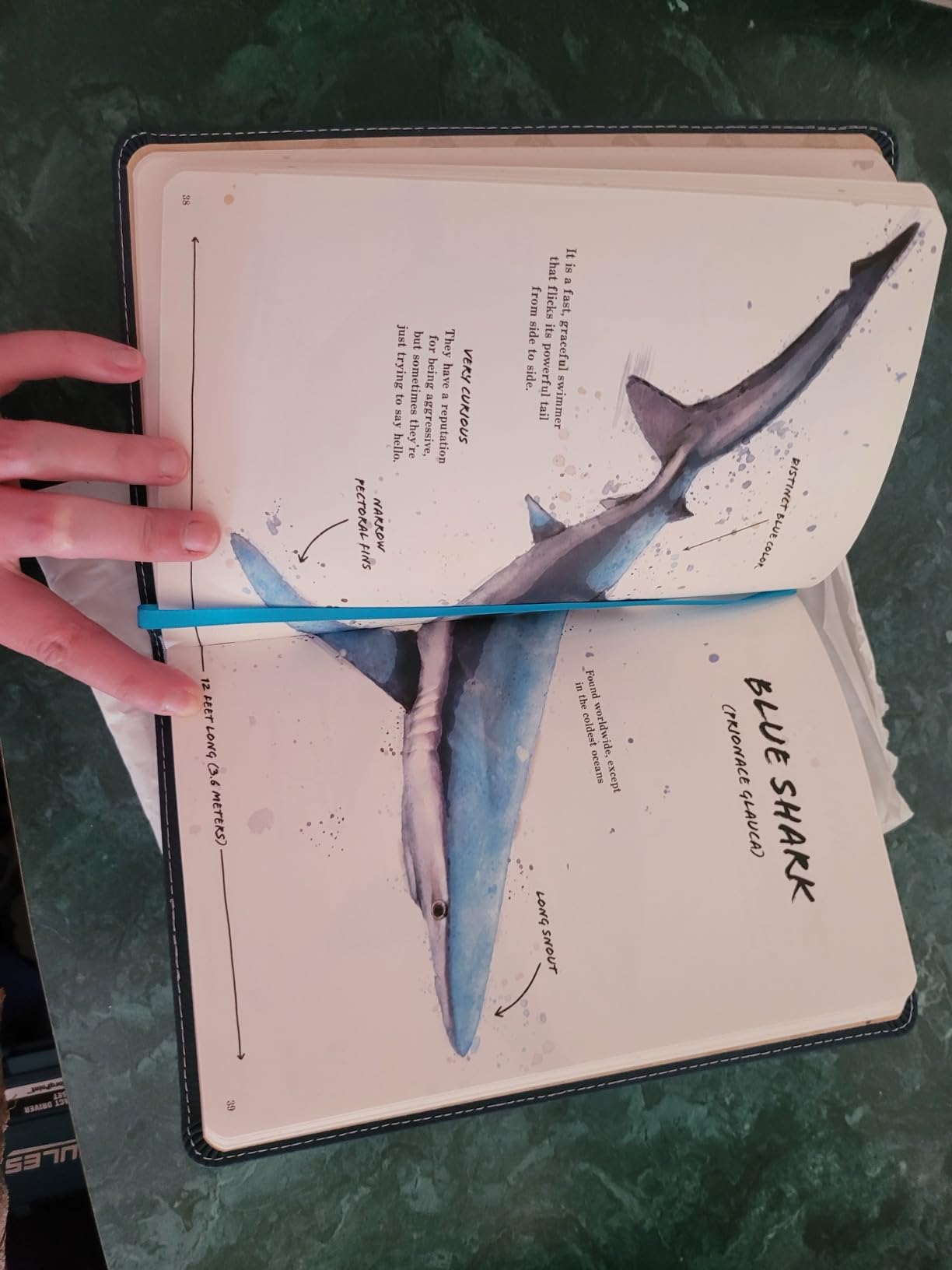 The Ultimate Shark Field Guide: The Ocean Explorer's Handbook (Ultimate Field Guides) customer photo 1