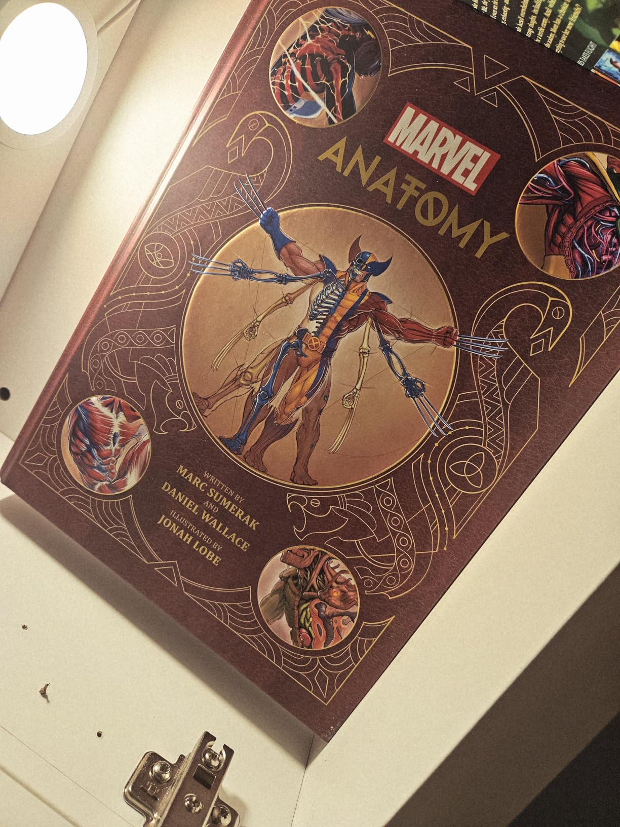 Marvel Anatomy: A Scientific Study of the Superhuman customer photo 1