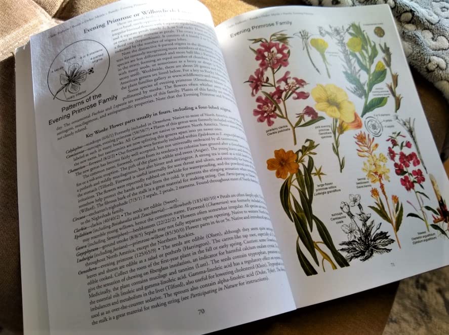 Botany in a Day: The Patterns Method of Plant Identification customer photo 2