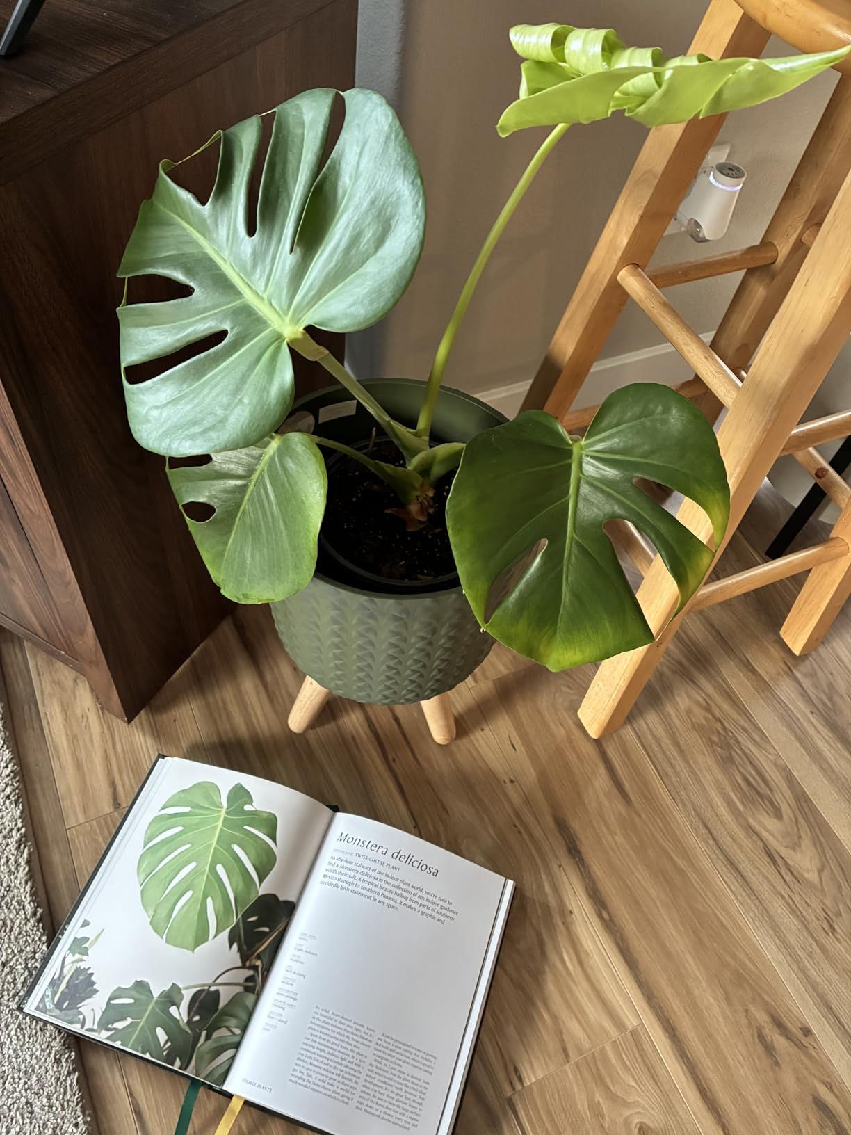 Plantopedia: The Definitive Guide to Houseplants customer photo 1