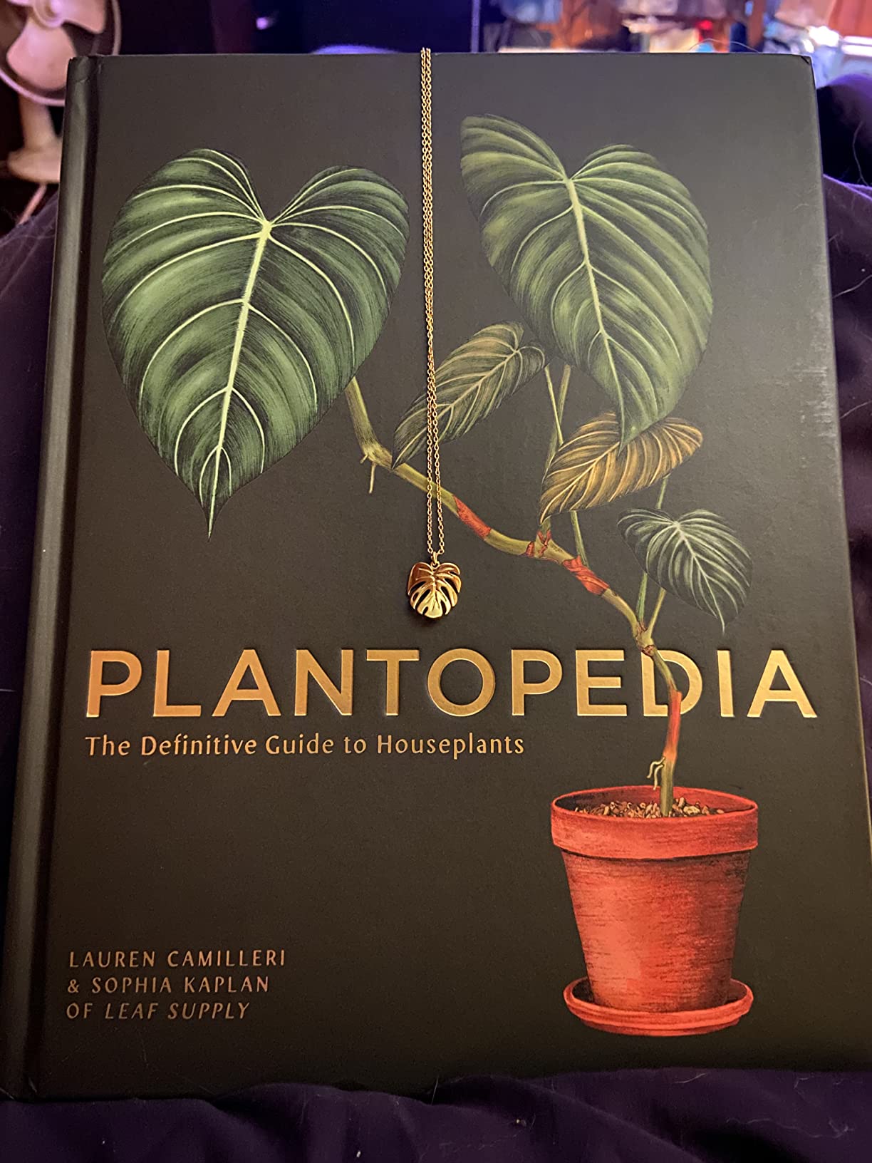 Plantopedia: The Definitive Guide to Houseplants customer photo 2