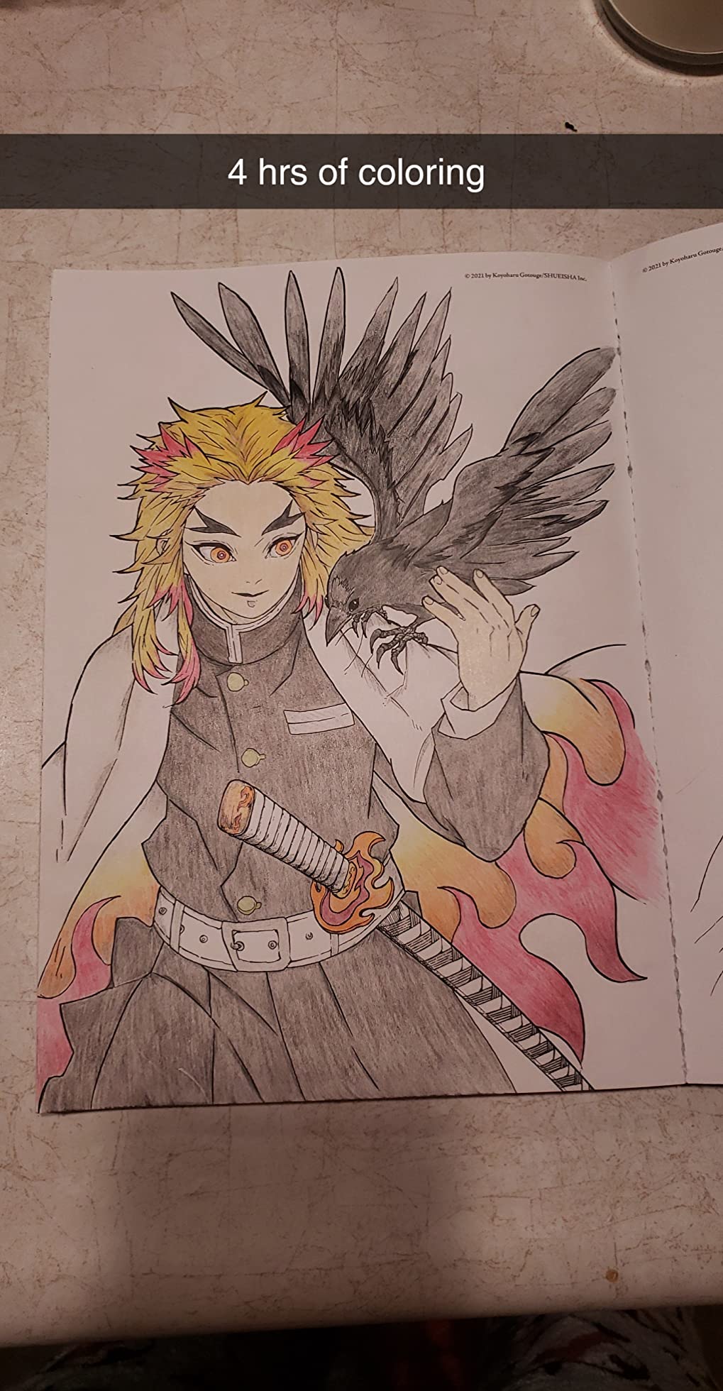 Demon Slayer: Kimetsu no Yaiba: The Official Coloring Book customer photo 1