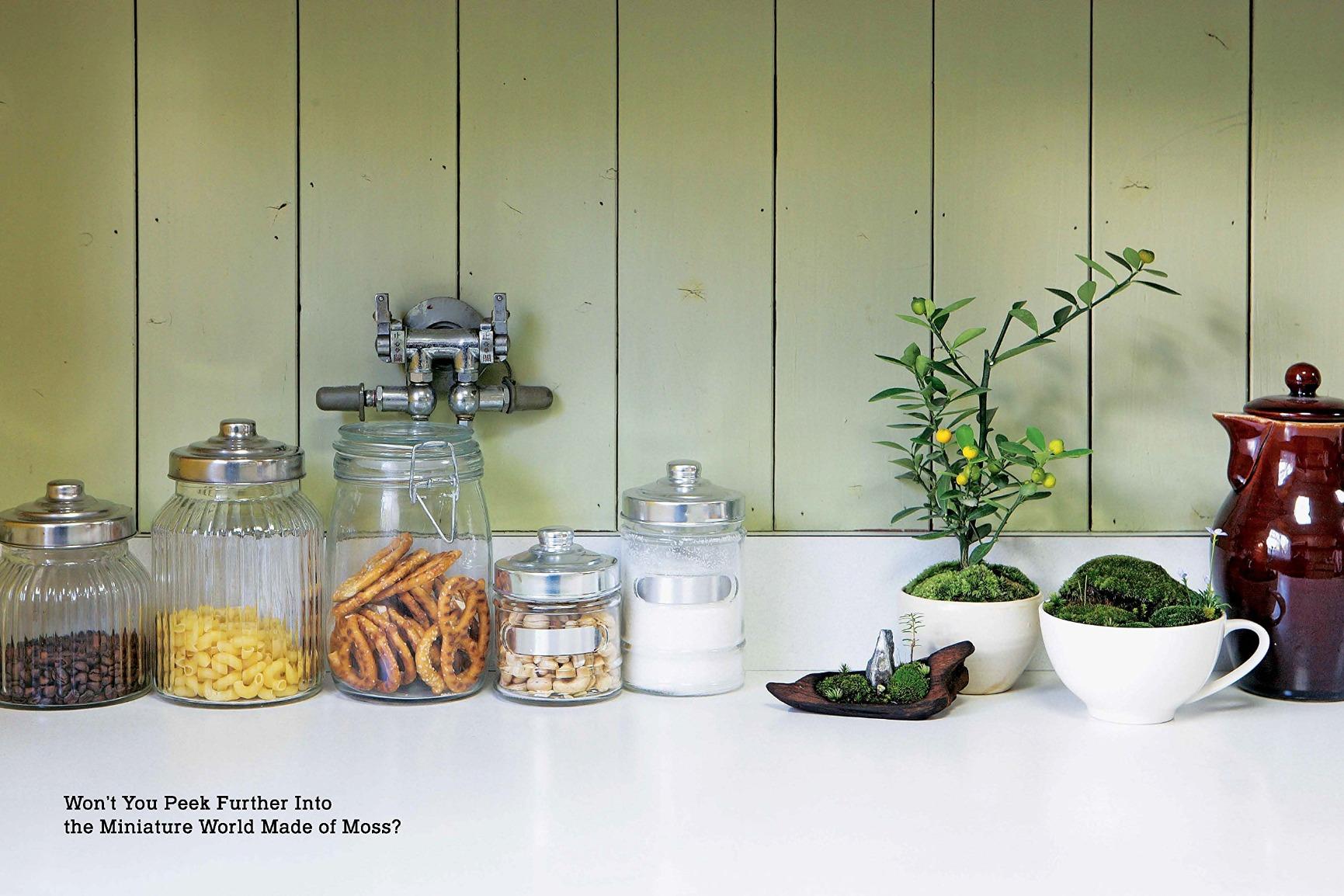 Miniature Moss Gardens: Create Your Own Japanese Container Gardens (Bonsai, Kokedama, Terrariums & Dish Gardens) customer photo 1