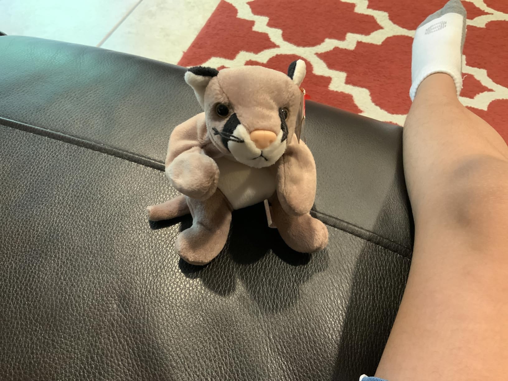 Ty Beanie Babies - Canyon the Cougar customer photo 1
