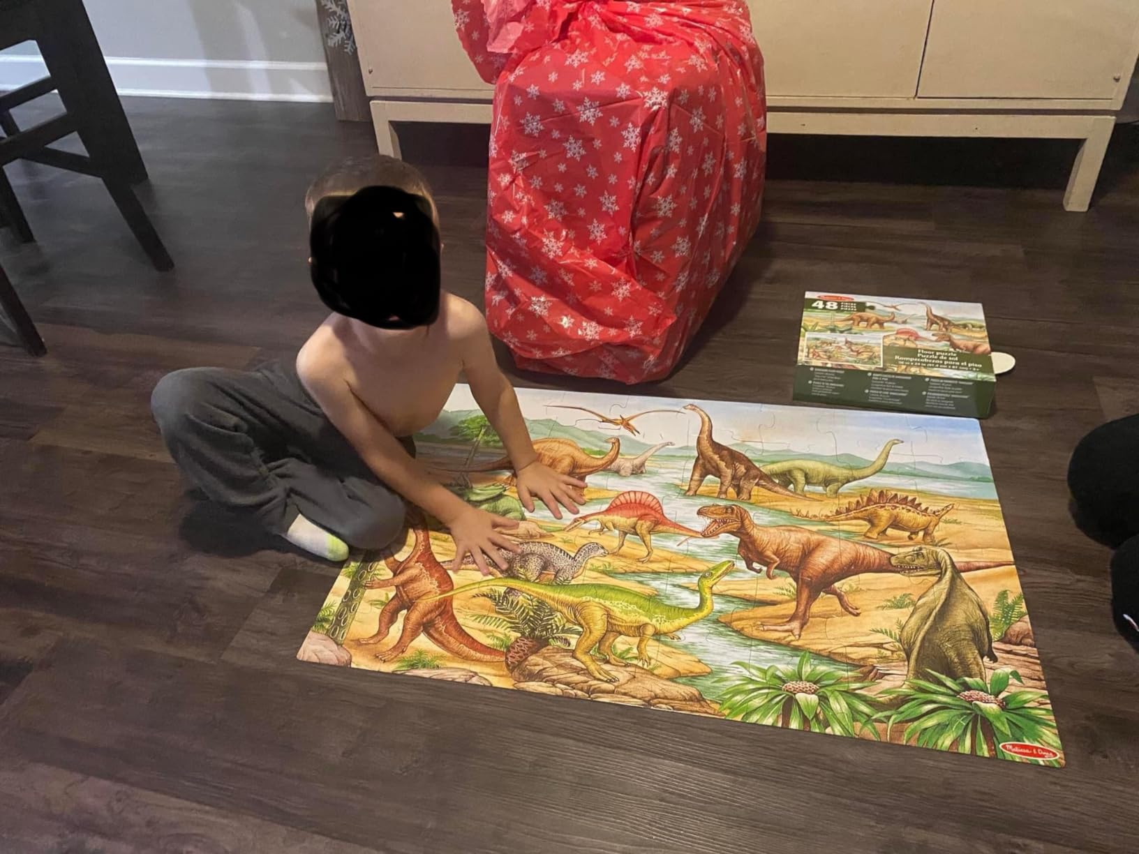 Melissa & Doug Dinosaurs Floor Puzzle - 48 Pieces (2 Feet x 3 Feet Assembled) - FSC Certified customer photo 1