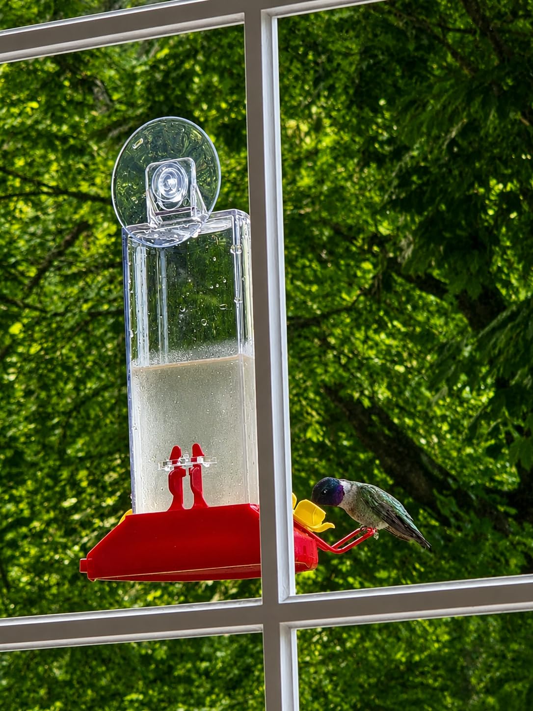 Perky-Pet Window Mount Hummingbird Feeder, 8 oz Nectar Capacity | 3 Bee Guard Ports, Suction Cup & Removable Perches, Plastic Shatter-Resistant Bottle for Outdoor Backyard Bird Watching, 217 customer photo 1