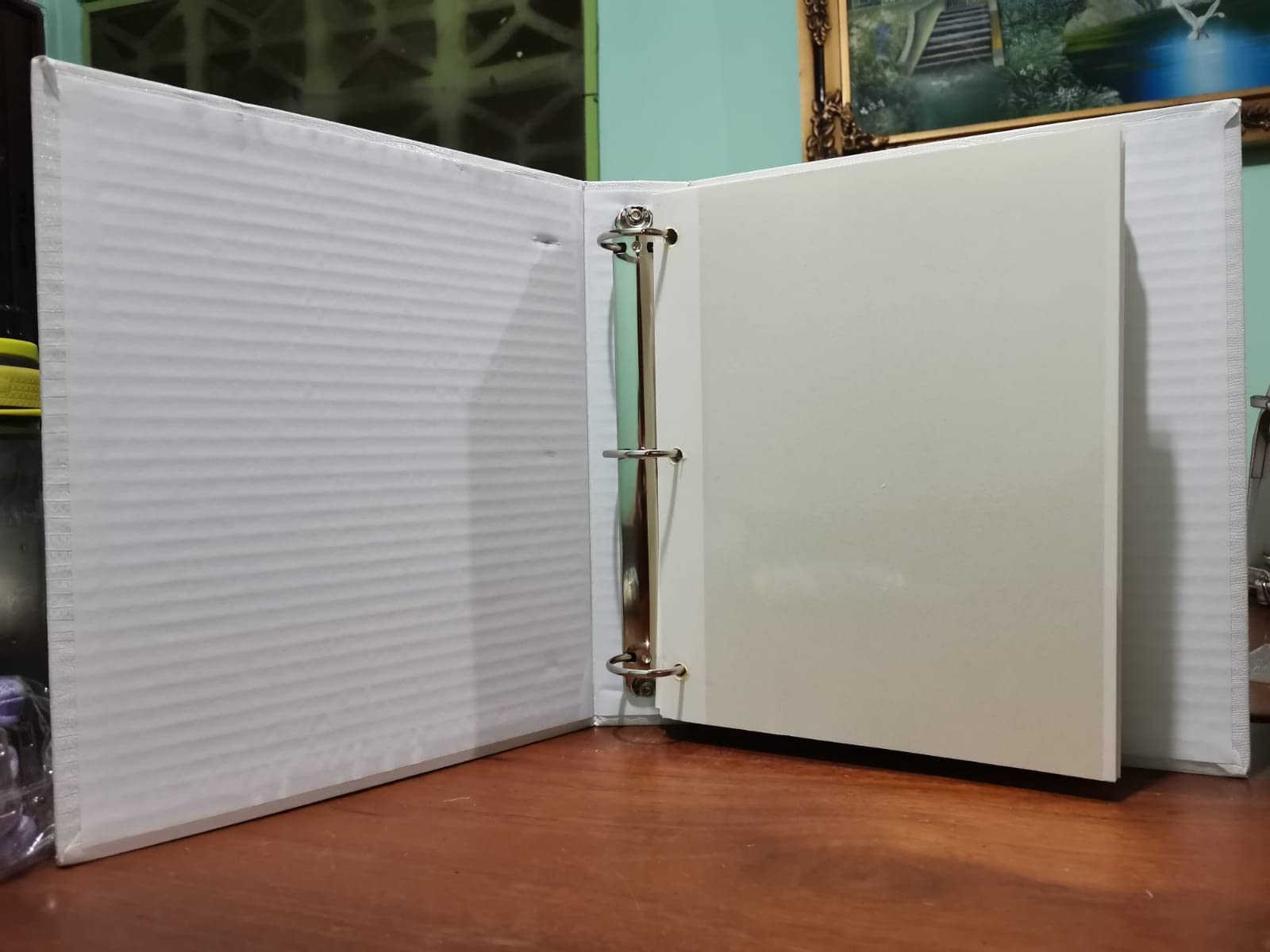 Magnetic Self-Stick 3-Ring Photo Album 100 Pages (50 Sheets), White customer photo 1