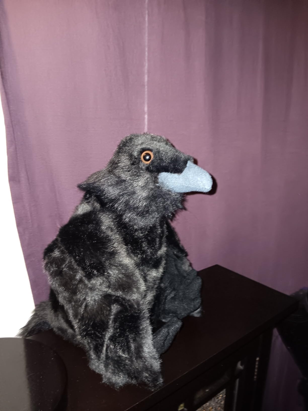 Wild Republic Raven Plush, Cuddlekins, Stuffed Animal, Soft Toy, Gifts for Kids, 12 Inches customer photo 2