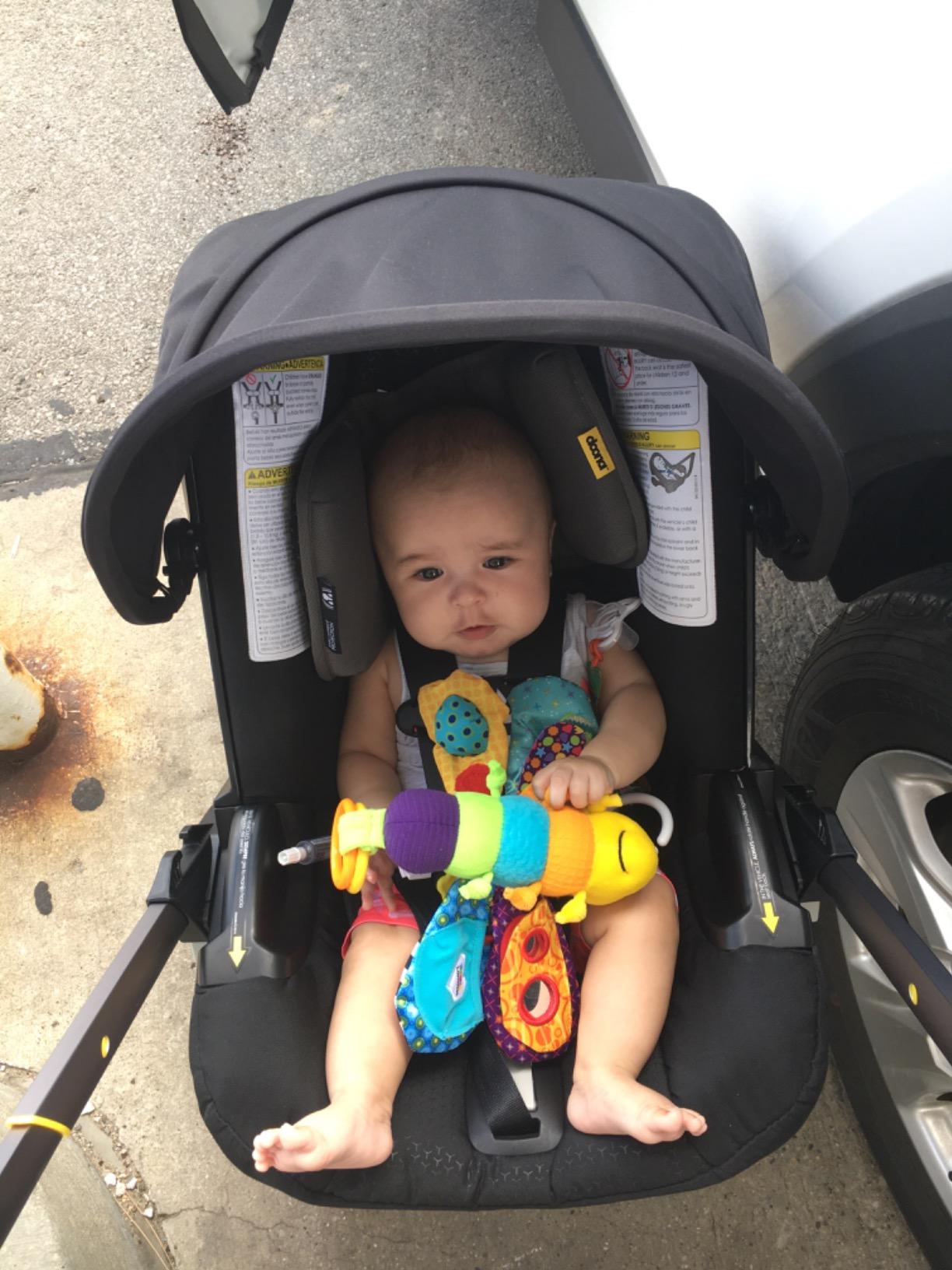 Lamaze Clip On Car Seat and Stroller Toy - Freddie the Firefly - Includes Lady Bug Teether - High Contrast Sensory Crinkle Toys for Babies - Infant Travel Toys - Ages 0 Months and Up customer photo 2