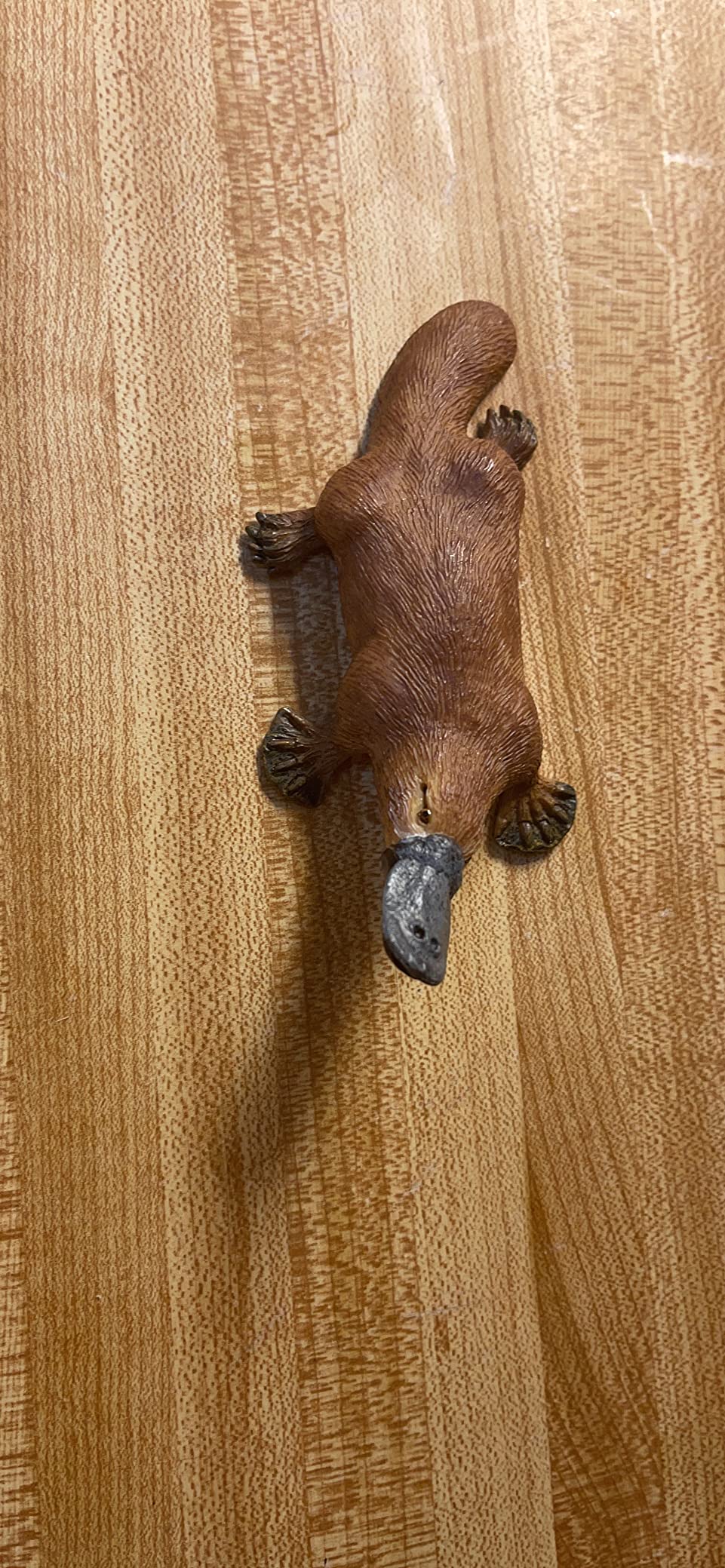 Safari Ltd. Platypus Figurine - Detailed 4.75