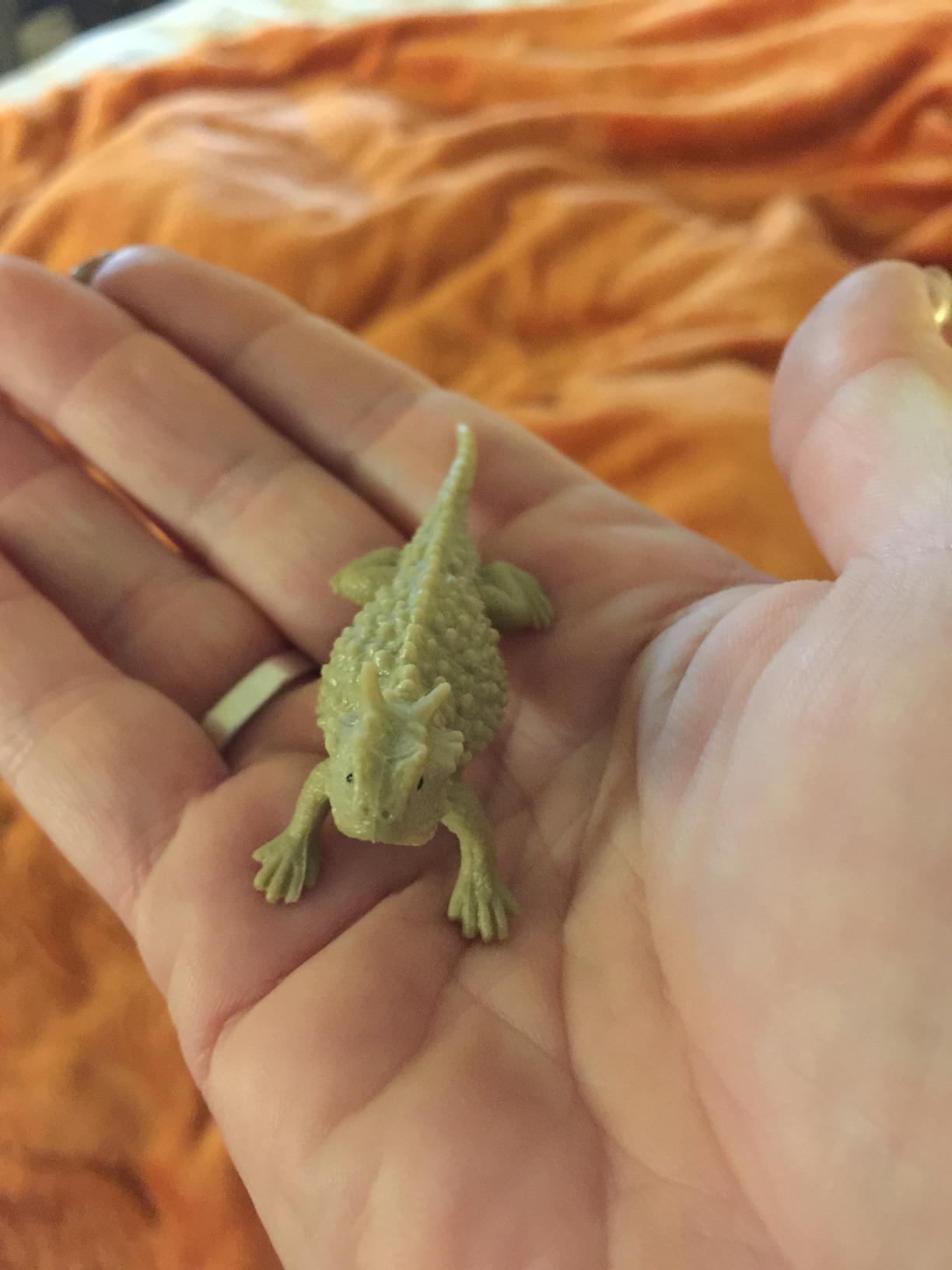 Safari Ltd. Desert TOOB - 9 Mini Figurines Including Bobcat, Coyote, Mountain Lion - Educational Toy for Kids 3+ customer photo 2