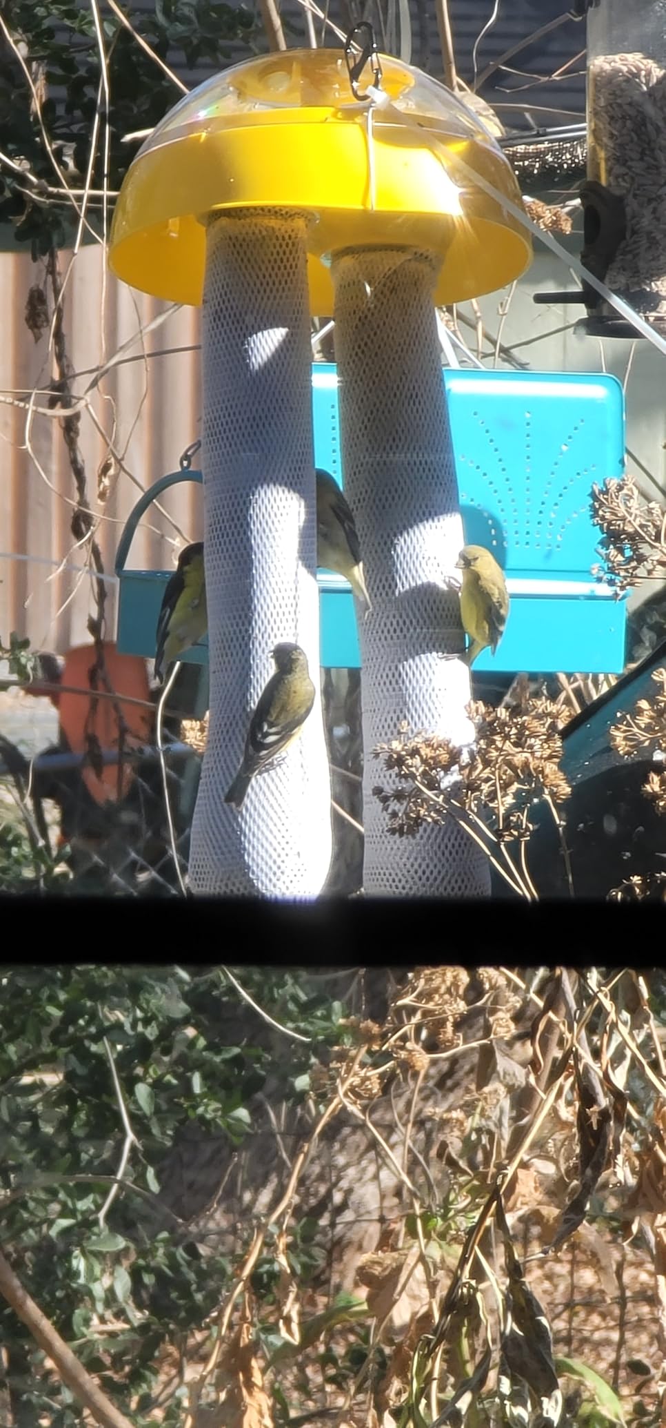 Kaytee Wild Bird Finch Station Soft Mesh Sock Feeder, Includes 2 Socks customer photo 2
