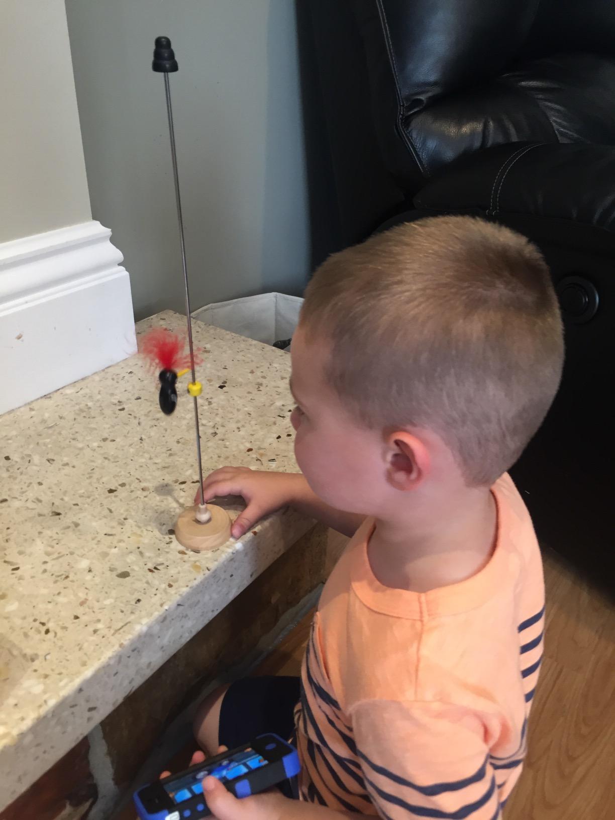 Schylling Woodpecker Toy - Retro Sliding Gadget for Kids and Adults - Mesmerizing and Calming Desk Accessory - Ages 5 and Up - One Piece customer photo 1