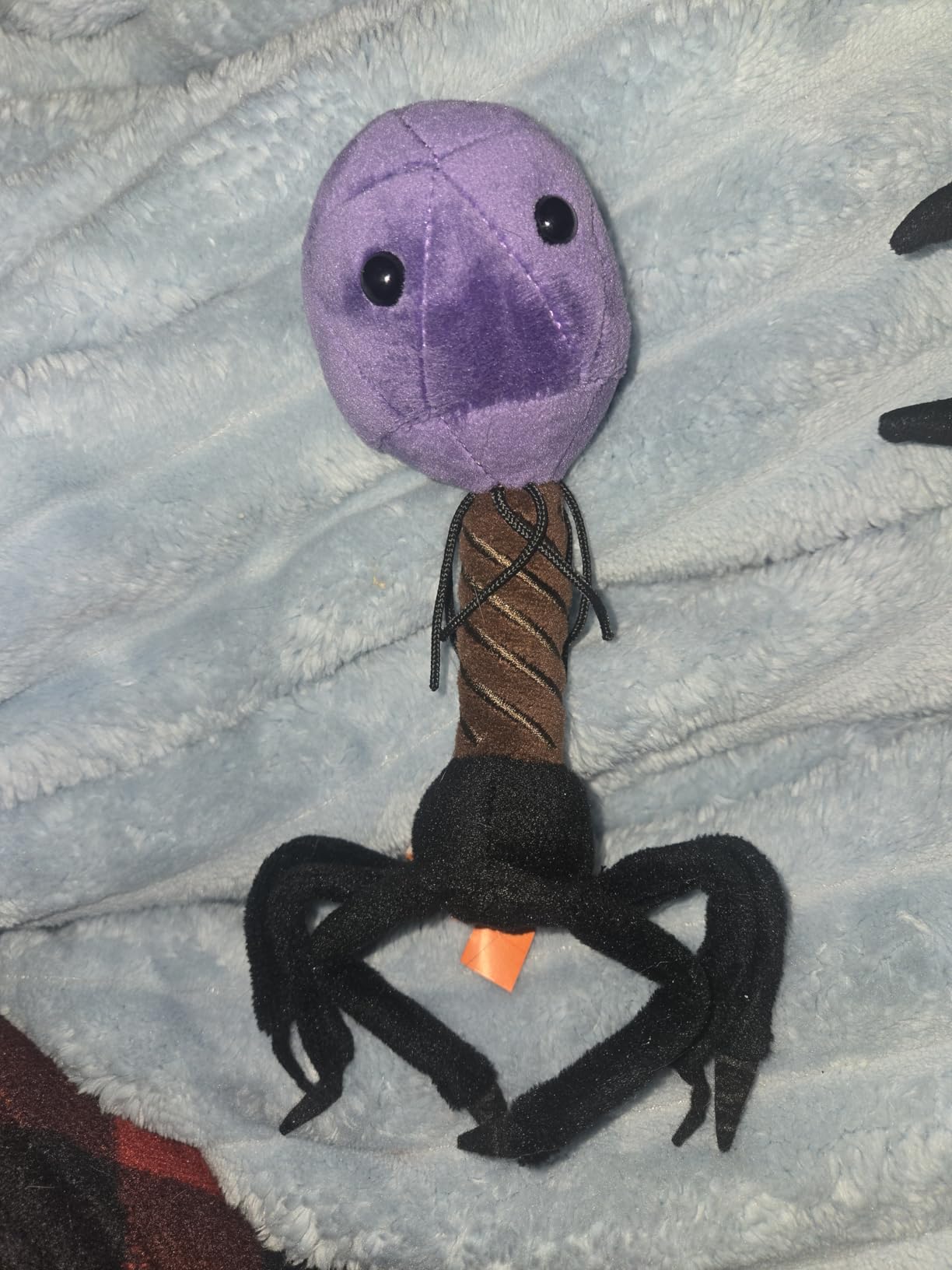 Giant Microbes T4 (T4-Bacteriophage) Plush Toy customer photo 1