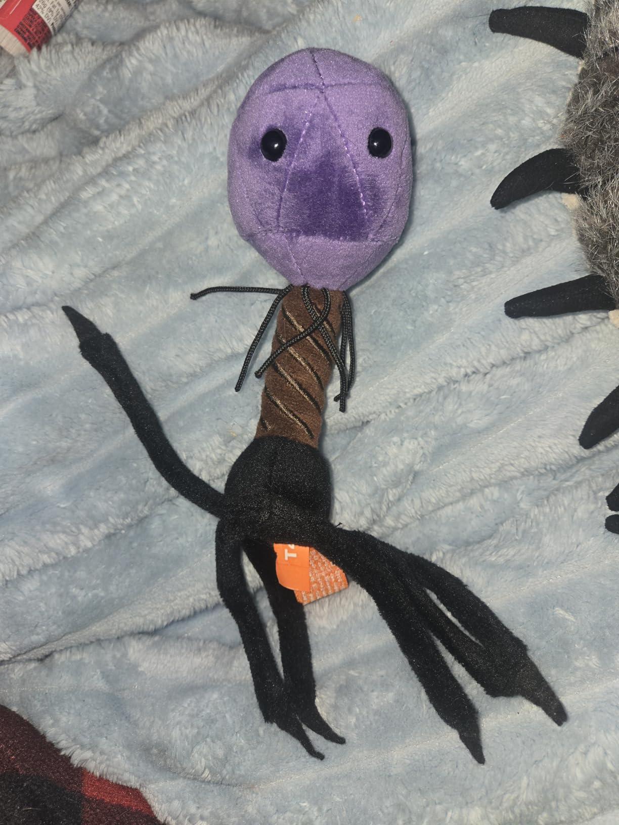 Giant Microbes T4 (T4-Bacteriophage) Plush Toy customer photo 2