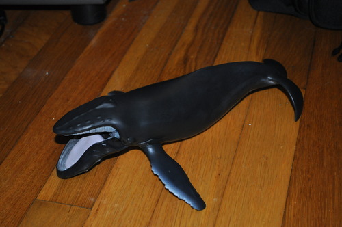 Realistic Humpback Whale Figurine, Marine World Collection, Kids Ages 3+ | Educational Ocean Exploration Game | 29 x 16.3 x 5 cm | Hand Painted | Original Gift for Girls and Boys customer photo 1