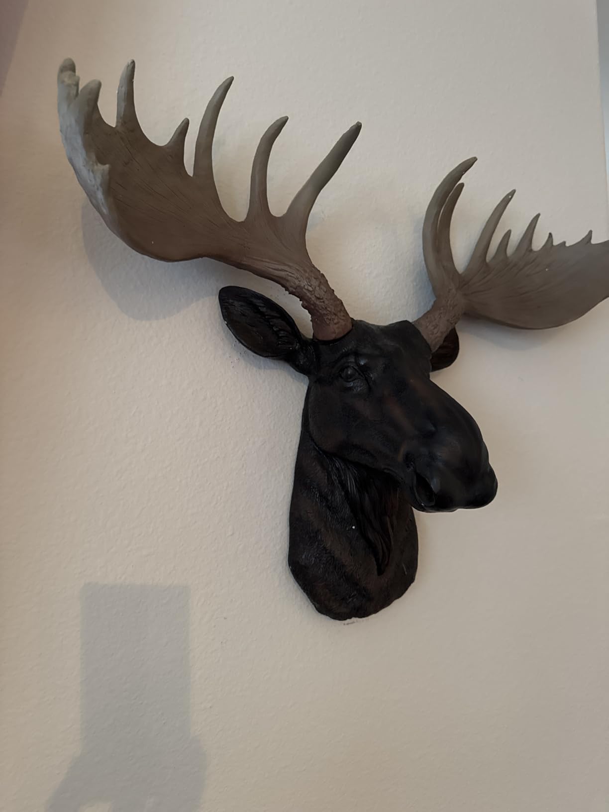 DWK Moose Head Wall Sculpture, 23 Inch Brown Resin Lodge Decor | Textured Fur and Antler Detail, Painted Finish, Flat-Back Bust Mount, Indoor or Dry Covered Display customer photo 1