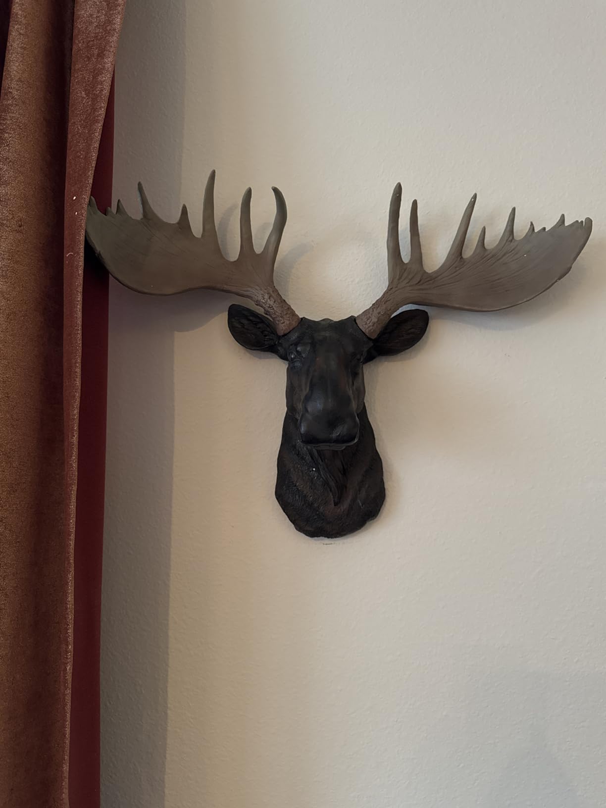 DWK Moose Head Wall Sculpture, 23 Inch Brown Resin Lodge Decor | Textured Fur and Antler Detail, Painted Finish, Flat-Back Bust Mount, Indoor or Dry Covered Display customer photo 2