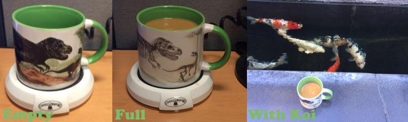 The Unemployed Philosophers Guild Disappearing Dino Mug - Heat Sensitive Color Changing Coffee Mug - Add Hot Liquid and Watch Dinosaurs Turn to Fossils, 12 fl oz customer photo 2