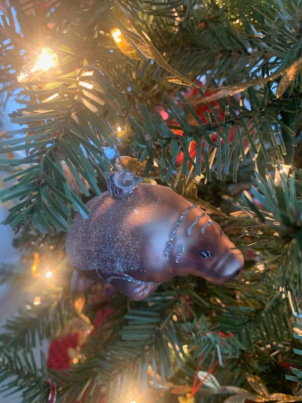 Old World Christmas Manatee Glass Blown Ornament for Christmas Tree, Handcrafted Holiday Decoration, Sea Collection customer photo 1