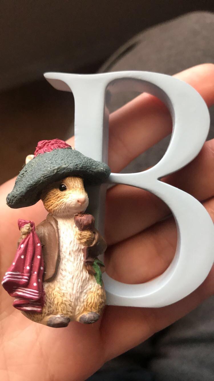 Beatrix Potter Alphabet Collection Letter L Jemima Puddle-Duck Figurine, 2.68 Inch, Multicolor customer photo 1