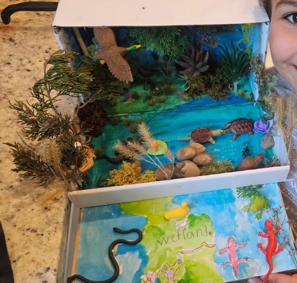Safari Ltd. River Ecosystem TOOB - Figurines of Bald Eagle, Beaver, Alligator & More - Educational Play Toy for Kids Ages 3+ customer photo 2
