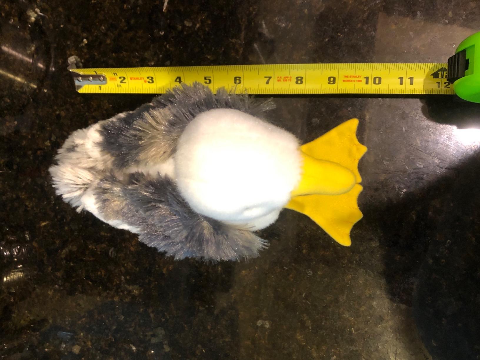 Douglas Seymour Seagull Plush Stuffed Animal, 8 Inch Soft Realistic Seabird Toy - Coastal Bird Plush for Kids, Beach Gifts & Collectors customer photo 1