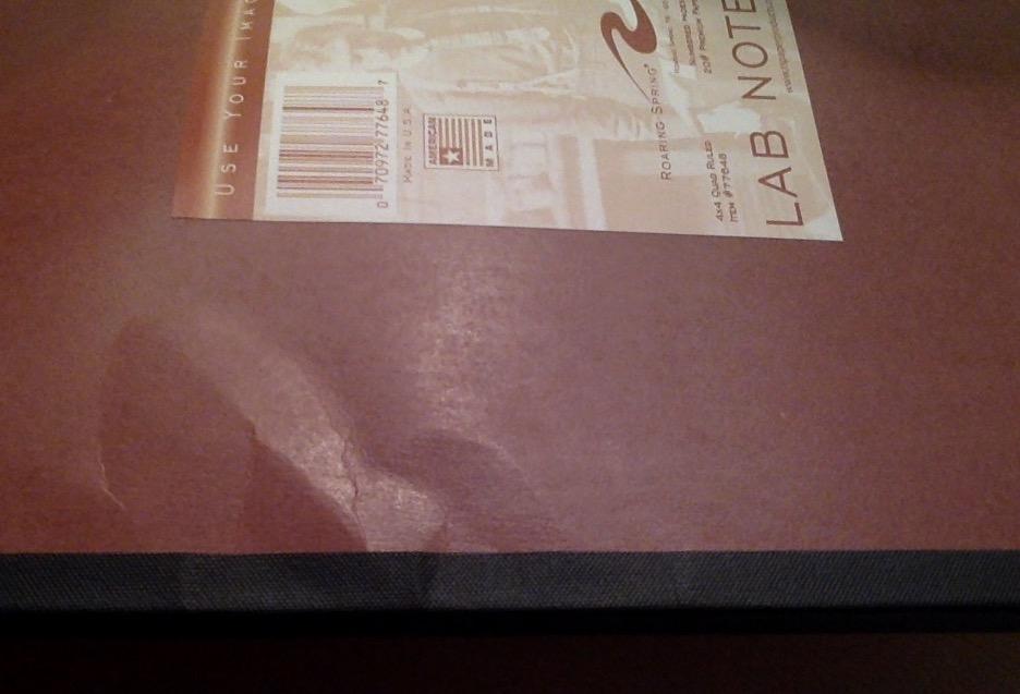 Roaring Spring Oversize Lab Book with Numbered Pages, 4x4 Grid Ruled, 11.75