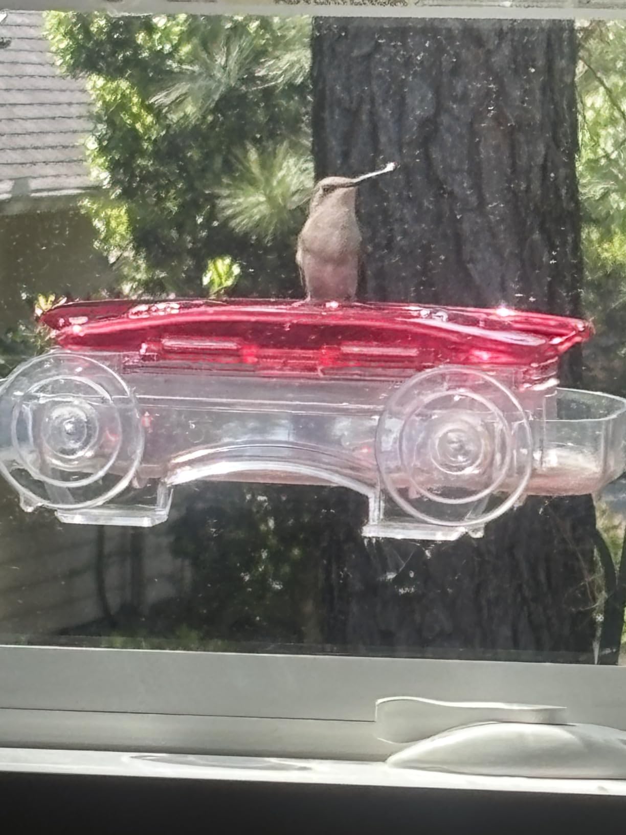 Aspects 407 Jewel Box Window Hummingbird Feeder, 8-Ounce customer photo 2