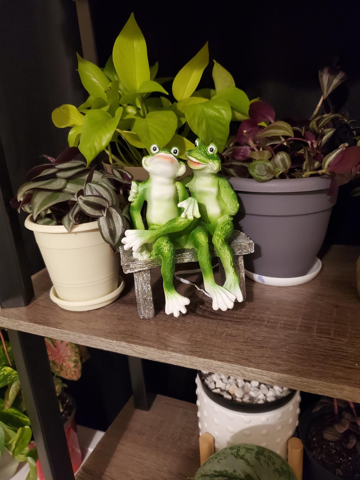 George S. Chen Imports SS-G-61040 2 Frogs on Bench Garden Decoration Collectible Figurine Statue Model customer photo 2