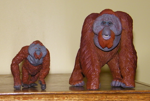 Safari Ltd. Bornean Orangutan Toy Figurine - Detailed 5