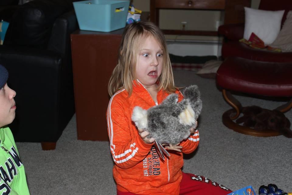 Hansa Dodo Bird Plush customer photo 2
