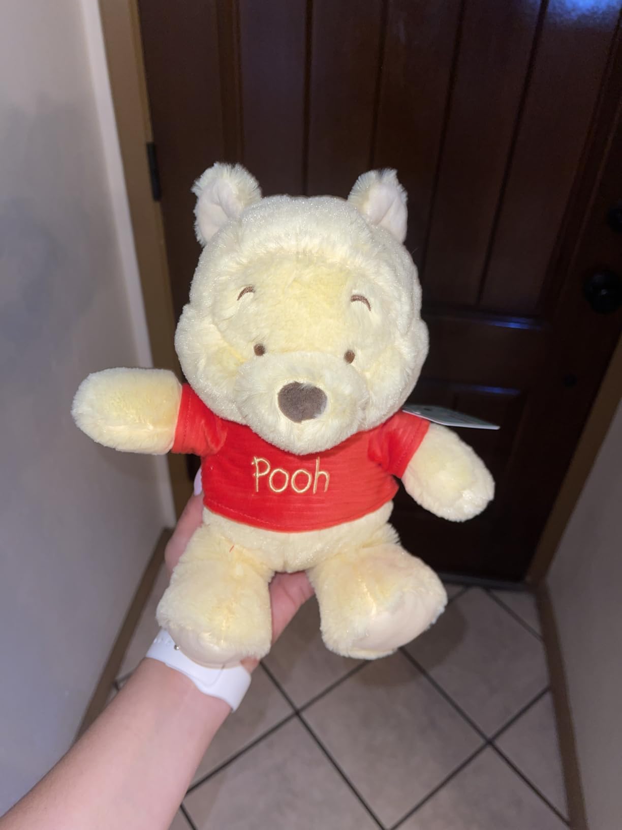Disney Baby Winnie the Pooh and Friends Stuffed Animal with Jingle and Crinkle, Pooh 12