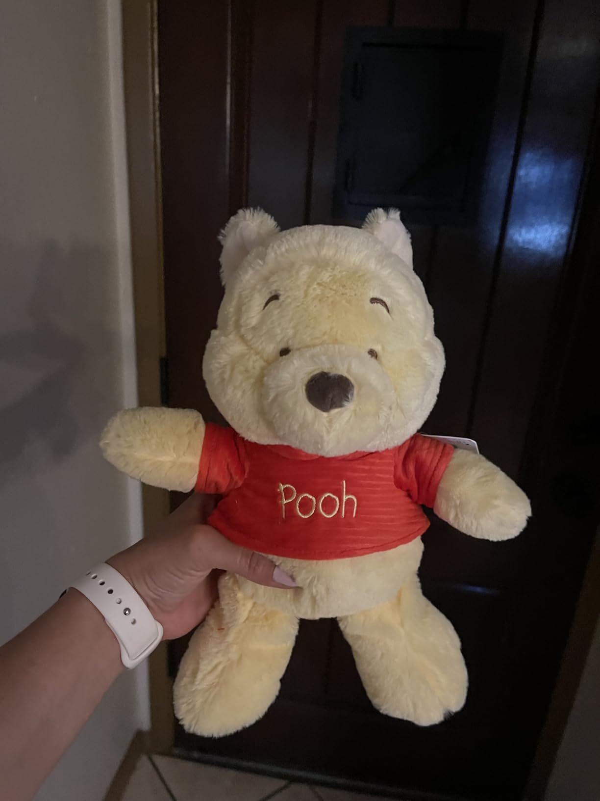 Disney Baby Winnie the Pooh and Friends Stuffed Animal with Jingle and Crinkle, Pooh 12