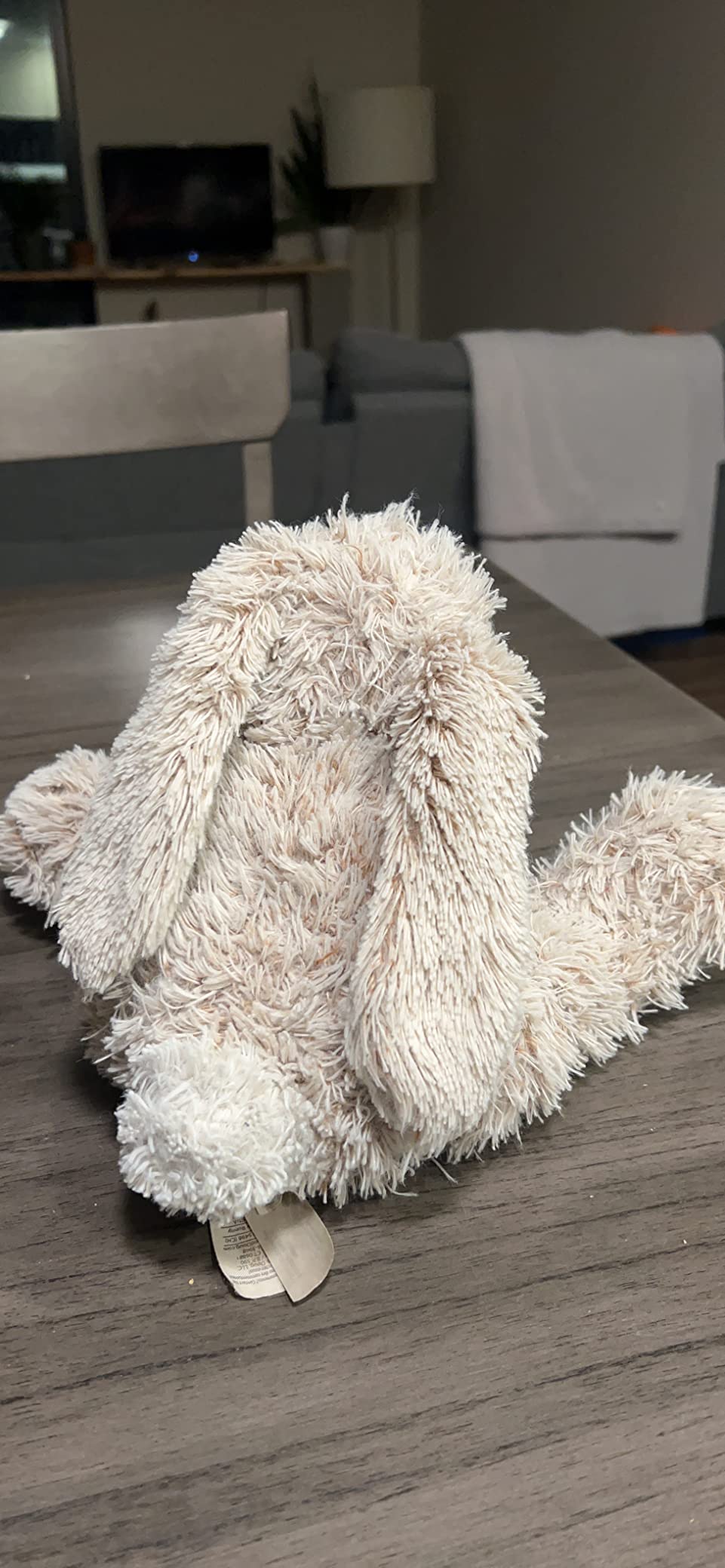 Melissa & Doug Burrow Bunny Stuffed Animal Plushie with Big Feet, Floppy Ears & Fluffy Tail, Adorable Pretend Play Toddler Toys for Girls & Boys 3+ customer photo 2