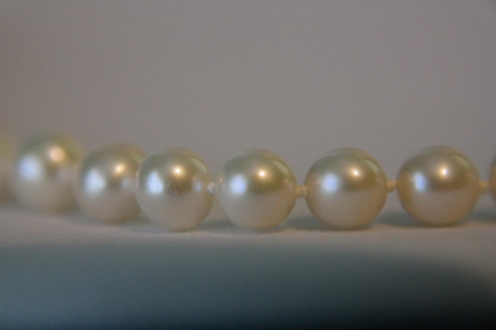Real White Freshwater Pearl Necklace for Women, AAA+ Genuine Cultured Freshwater Pearls, Fine Jewelry Gift customer photo 1