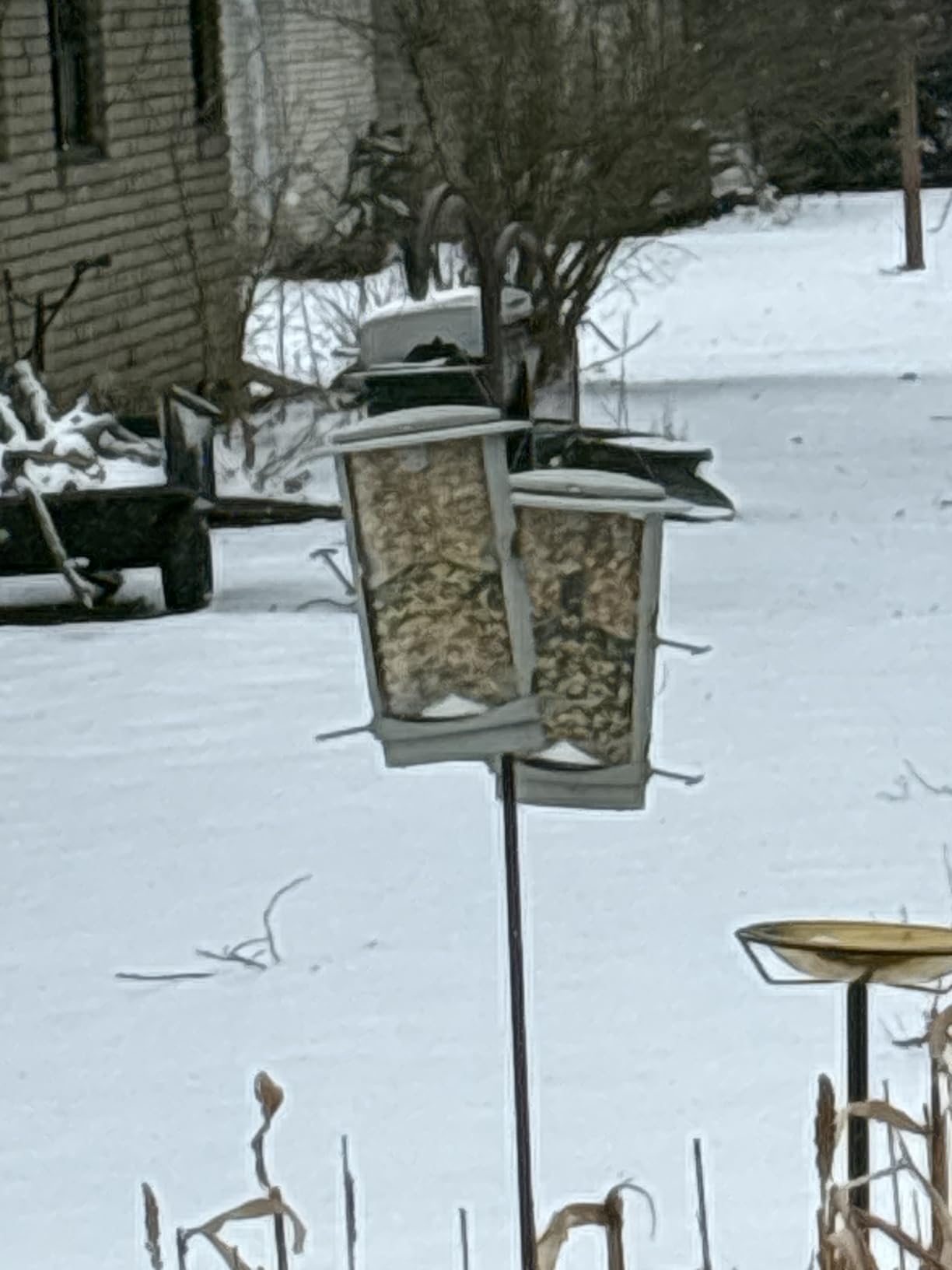 More Birds X-1 Squirrel-Proof Bird Feeder with 4.2-Pound Bird Seed Capacity and Four Feeding Ports customer photo 2