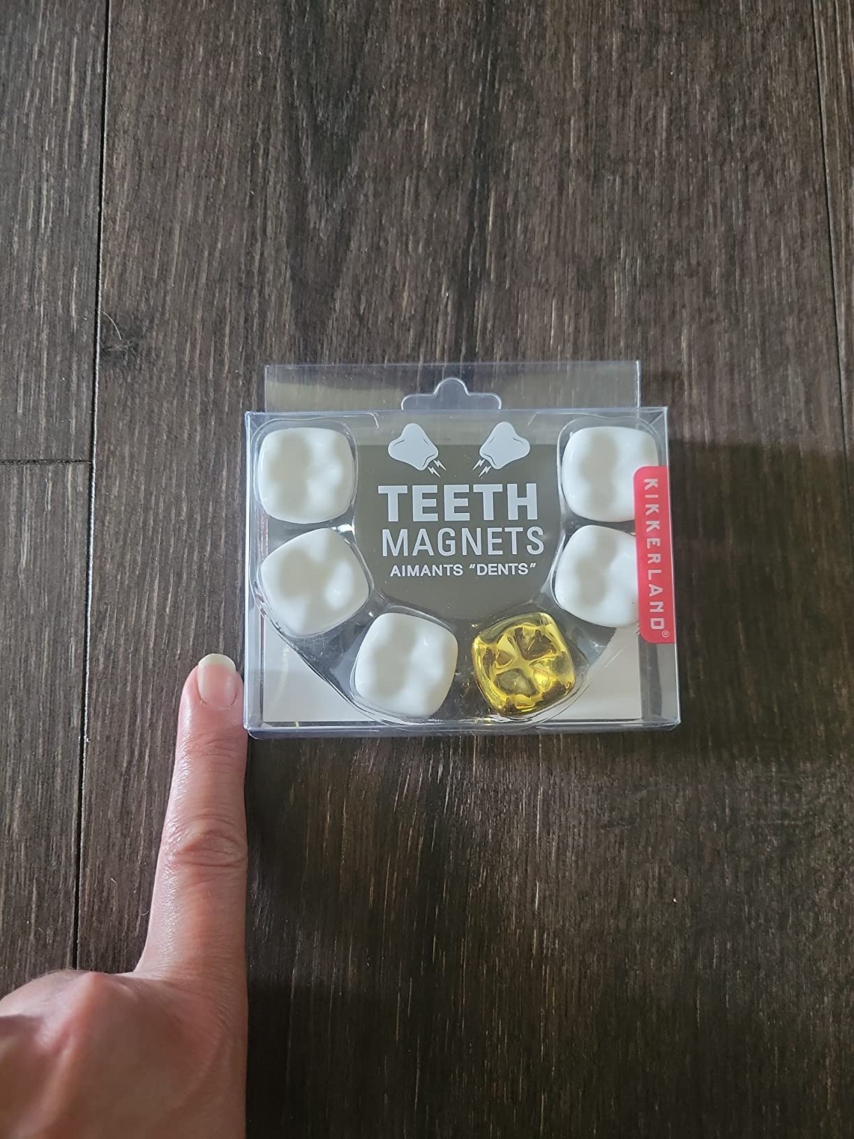 Kikkerland Teeth Magnet Set of Six - Fun Decor for Home, Office, & Classroom - Gifts for Holidays & Events customer photo 1
