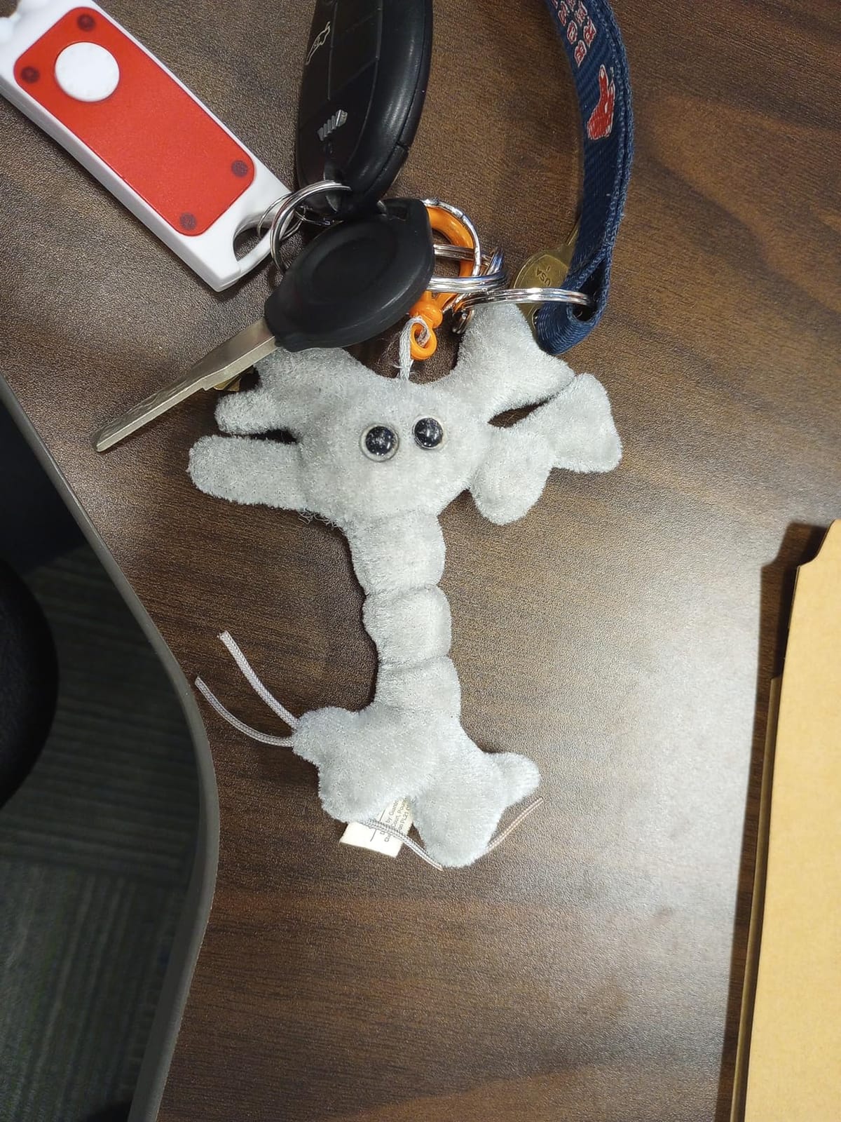 GIANT MICROBES Brain Cell Plush Keychain, Neuron Plush, Neuroscience Gift, Neurology Gifts, Science Plushies, Neuron Model Anatomy, Psychology Gifts, Psychology Decor, Brain Gift, TBI, Bag Charms customer photo 1