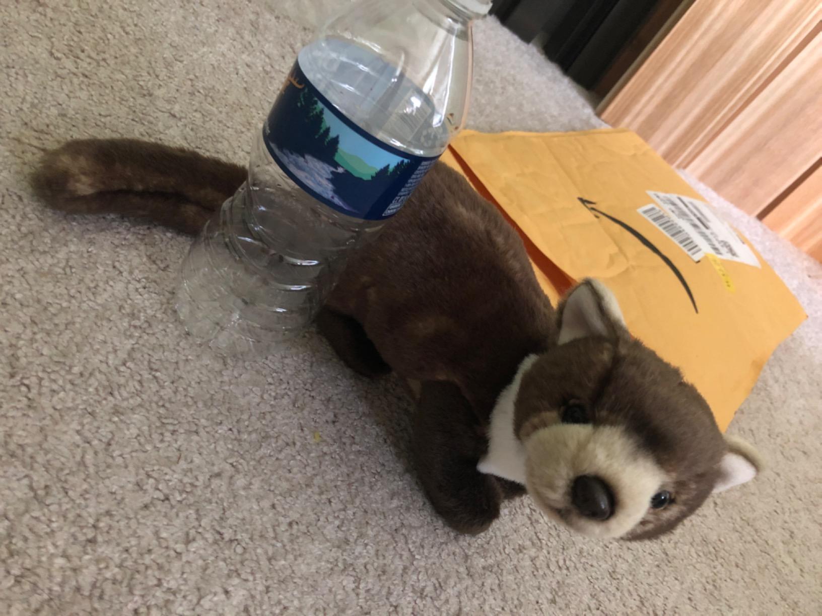 Carl Dick Marten 9.5 inches, 41cm, Plush Toy, Soft Toy, Stuffed Animal 2682 customer photo 2