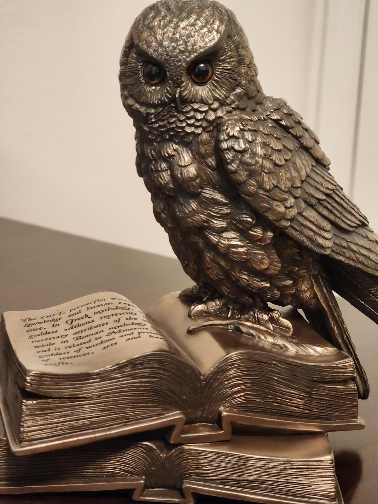 Top Collection Owl on Book Statue - Great Horned Owl Sculpture in Premium Cold Cast Bronze- 7-Inch Collectible Animal Figurine customer photo 1