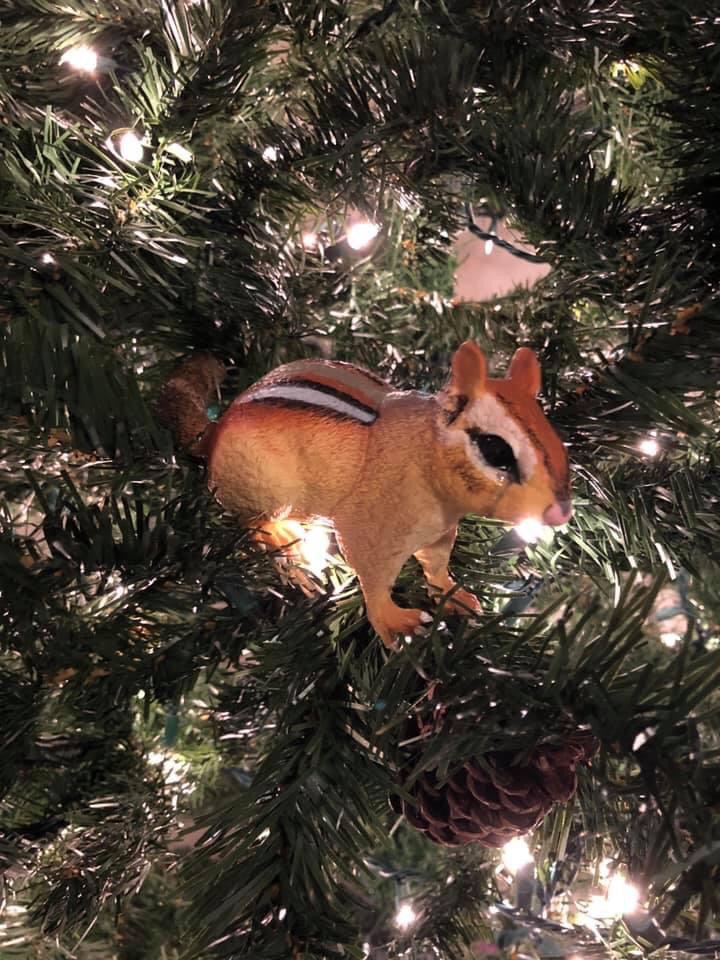 Safari Ltd. Eastern Chipmunk Figurine - Detailed 7